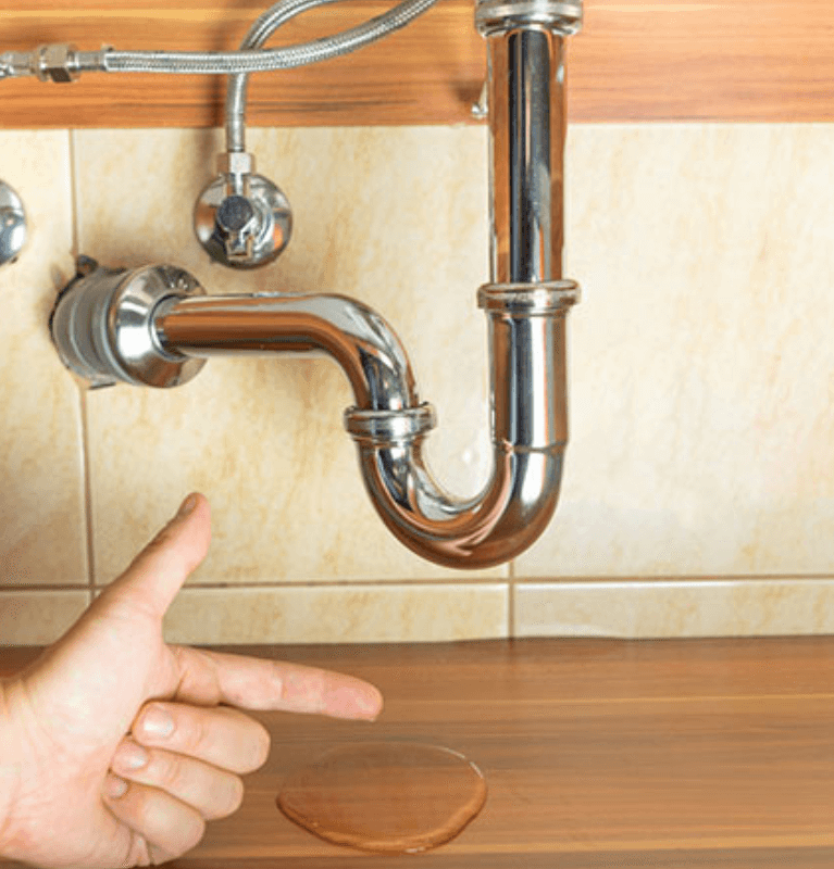 Leak Detection and Repair Service